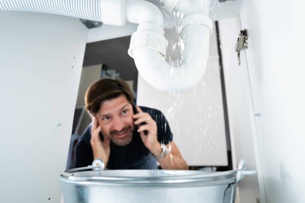 Best 24-Hour Plumber Near Me  in Smith Valley, NV