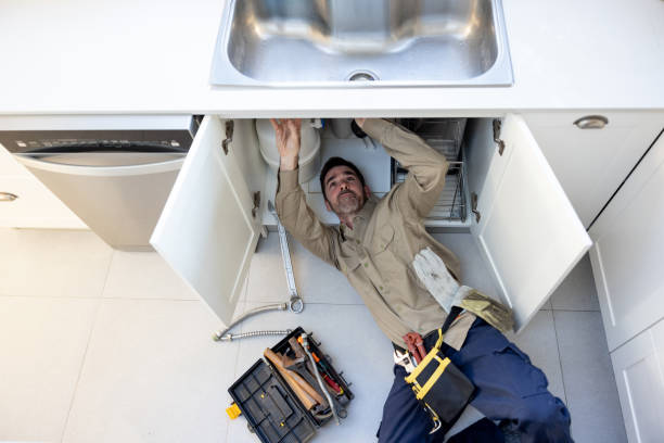 Best Toilet Repair Services  in Smith Valley, NV