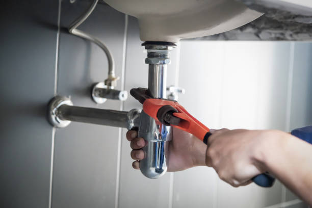 Best Residential Plumbing Services  in Smith Valley, NV