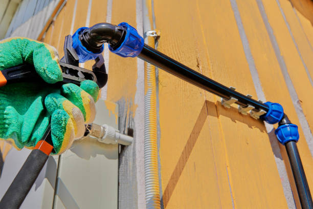Best Local Plumber Services  in Smith Valley, NV